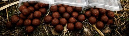 Catfish Boilies Blood Earthworm 30mm (harcsa boji vér-földi giliszta)