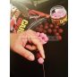 Carp Dream-Limited Tigernuts Cream 20mm