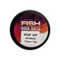 Fish Hook Baits-Pop Up-10mm Scopex (tejes-édes-krém)