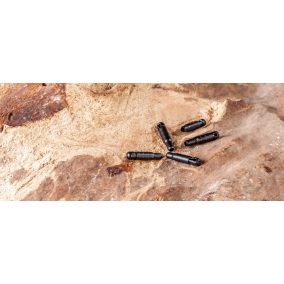 Line Connector (zsínór kapocs-Ø1.25 mm)