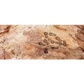 Multi Clip-(multi-gyors kapocs-csúszó szerelékekhez)