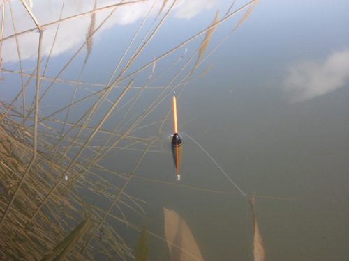 Pole Rig (létrás szerelék spiccbotra-gr0,4)