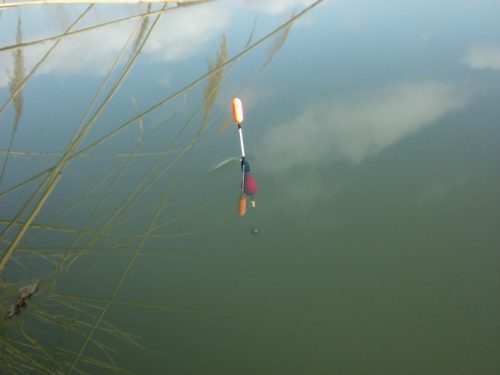 Pole Rig (létrás szerelék spiccbotra-gr0,5)