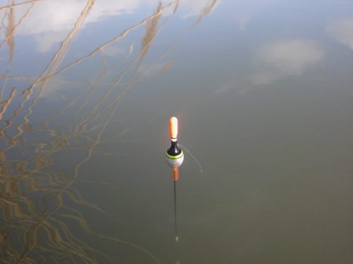 Pole Rig (létrás szerelék spiccbotra-gr0,5)