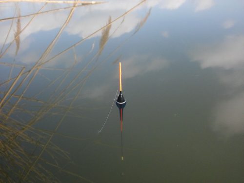 Pole Rig (létrás szerelék spiccbotra-gr0,8)