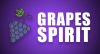 Zsömi Carp Food bojli 20mm 1kg Grapes Spirit (Chili-Kék szőlő-Fűszer)
