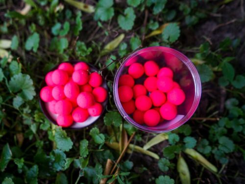 Zsömi Carp Food Pop Up 16mm 60g Liver Lover (Máj szerelem)